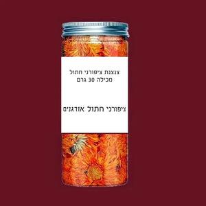 פרחי ציפורני חתול (קלנדולה)